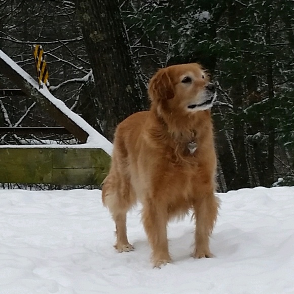 Meet your Posher, David - Picture 1 of 1